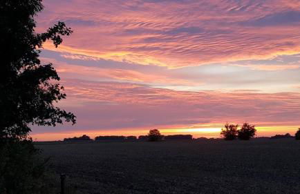 Gästehaus Landglück - Photo 23