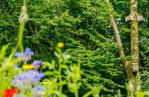 2 Bed in Cowbridge oc-88000 - Foto 22