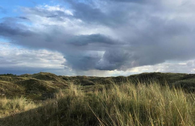 Apartment in Bergen Near Schoorl Dunes - Photo 26