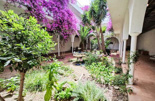 El Penell Estudi Mestral - Foto 10