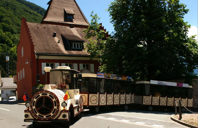 Tren turístico de Vaduz - Foto 5