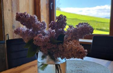 Domki pod sosnami - Foto 6