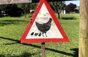 Casetta di campagna - Foto 9