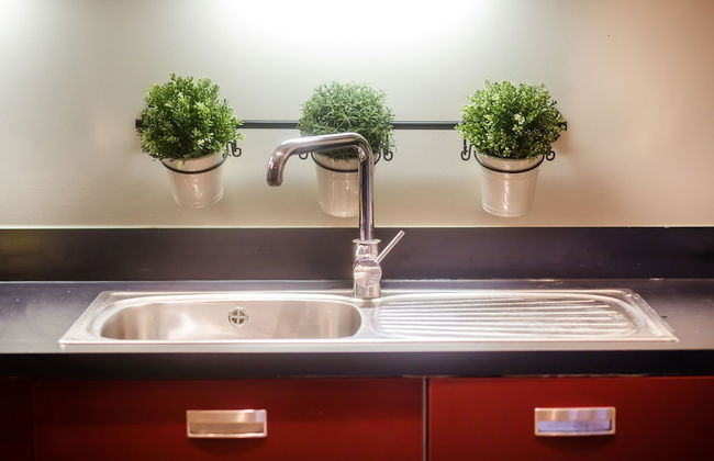 The President - Foto 13