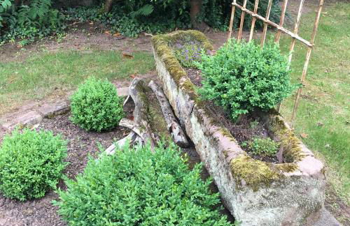 Tor zum Pfälzerwald - Foto 26