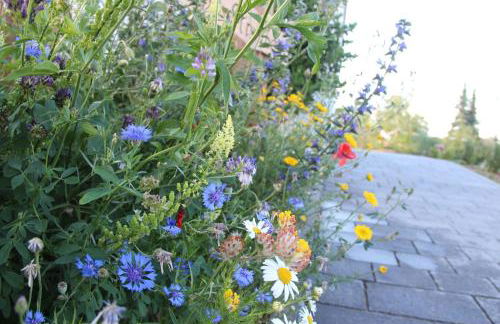 Ferienwohnungen "Blumenwiese" - Foto 14