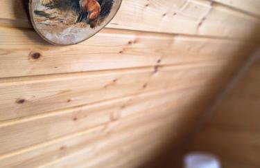 Bieszczadzka Ostoja - całoroczne domy na wynajem w Kalnicy - Foto 42