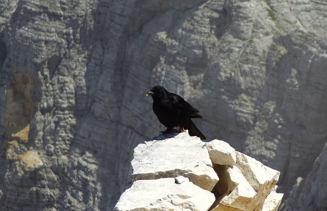 Lovely Apartment in Bled near Lake - Foto 28