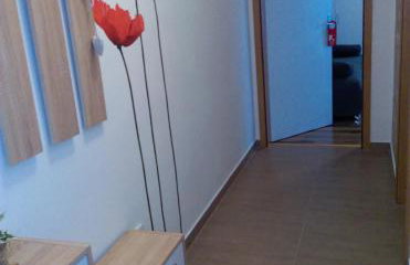 Studio Apartman Ždral - Foto 17