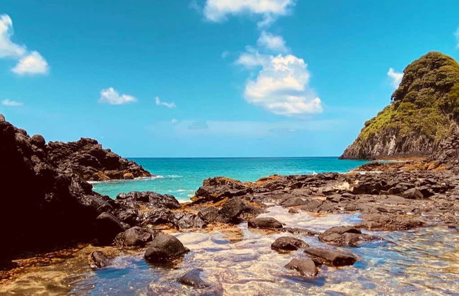 Snorkeling à Praia do Cachorro - Photo 7