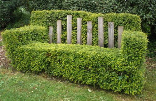 Garden Studio - Foto 16