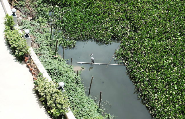 Onvara Place - Photo 20