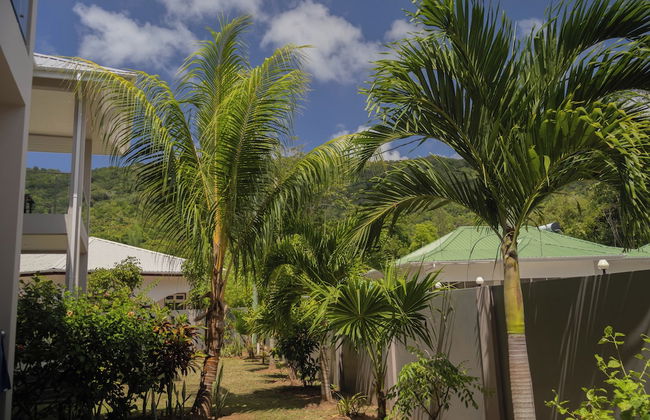 Palm Holiday Apartments - Foto 45