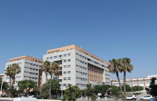 PACIFICO 18 - Photo 14