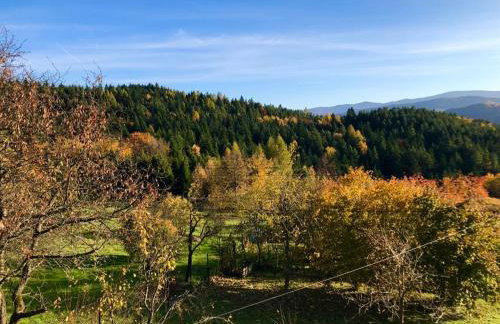 Klimatyczny dom z widokiem na Babią - kominek i ogrodzenie - Foto 44