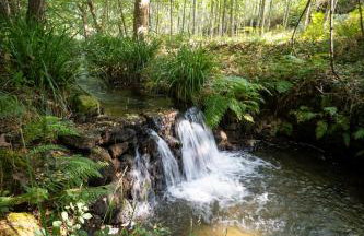 Quinta das ribeiras - Foto 26