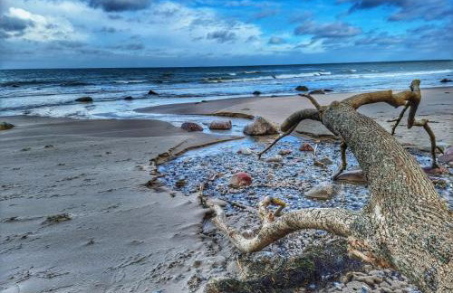 Ostseehaus am Naturstrand - Arkonablick - Foto 31