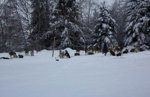 Appartement T2 lumineux, 6 pers., parking, proche commerces et ski - FR-1-403-39 - Foto 9