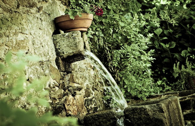 Pazo Xan Xordo - Foto 44