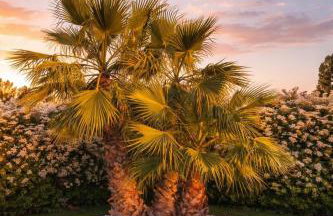 Villa Ikal - Foto 29