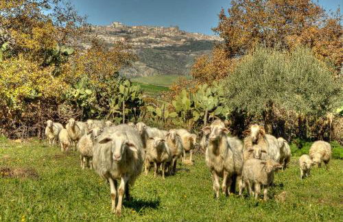 Le Querce di Cota - Foto 77