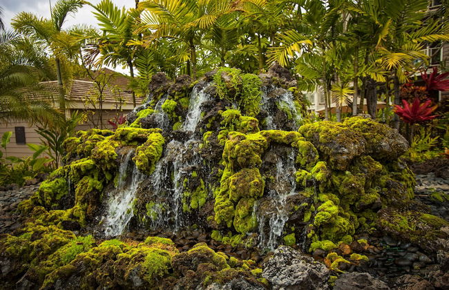 Wailea Grand Champions - Maui Condo & Home - Foto 38