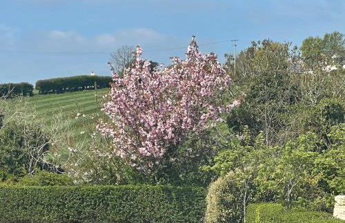 Barn Conversion Co Down - Foto 37