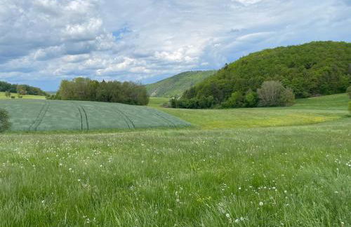 Historisches Ferienhaus "Schwalbennest" mit Eseln - Photo 20
