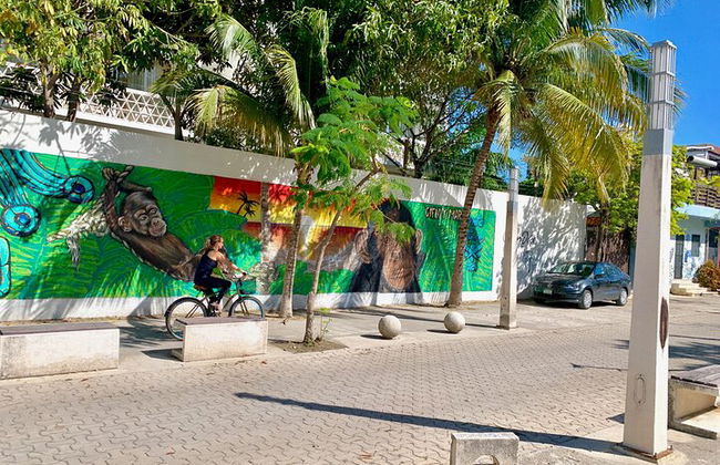 Tour 4x1 Coba, Tulum, Cenote Kuxtal e Playa del Carmen + Traslado de Cancún - Foto 23