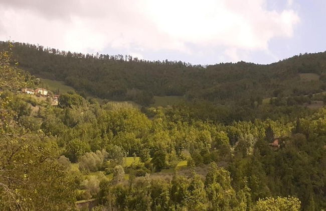 Spacious Countryside Escape - Foto 34