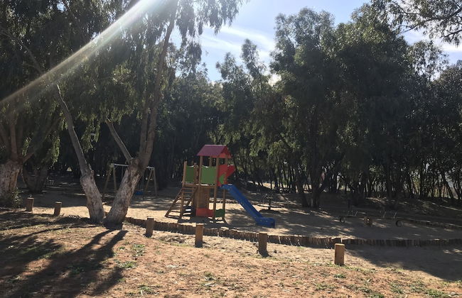 Too Many Suites - Foto 58