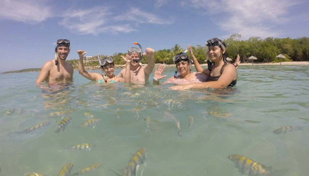 Snorkel en Barú - Foto 5, Cinco personas en la superficie rodeados de peces