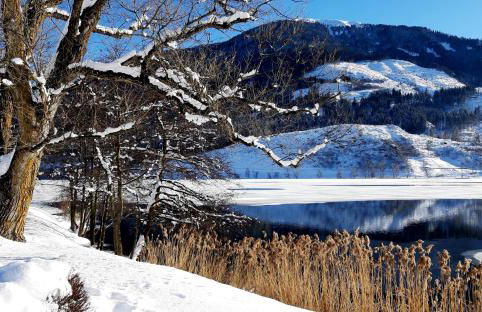 Ca' del Pettirosso - Foto 46