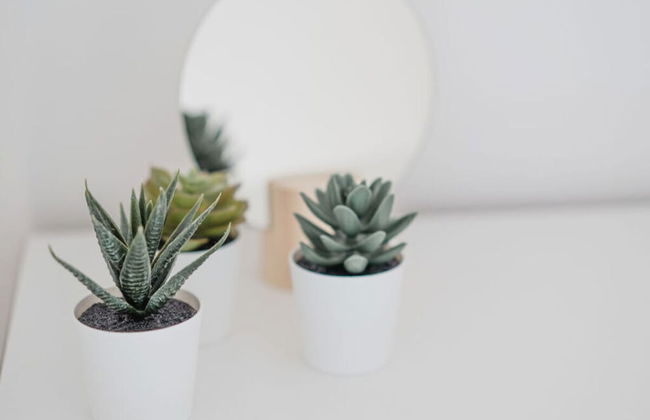 Torbogenhuus No. 5 Comfortable Holiday Residence - Foto 33