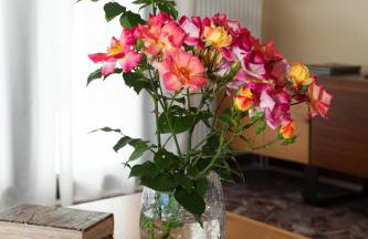 Villa Alex - Foto 33