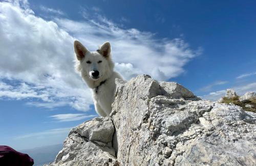 Rifugio Futopia - start here your journey to the discovering of the Alpi Graie - Foto 52