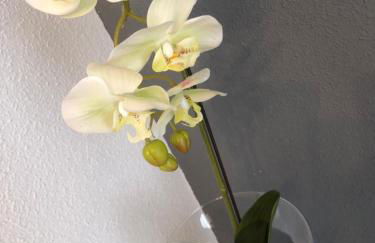 Alojamiento LA DUQUESITA - Foto 19