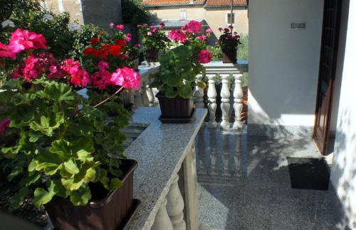 Apartments Wagner - Photo 5