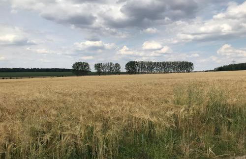 Ferienwohnung Pappelwiese - Foto 21