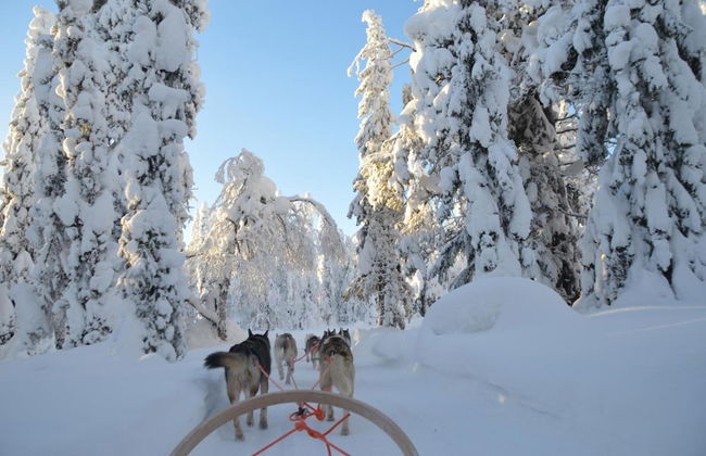 Rukariutta Apartments - Foto 39