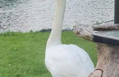 Nicks and Carmels by the Lake - Foto 28