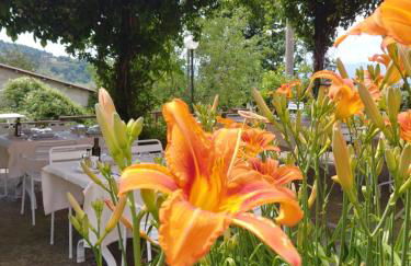 Agriturismo Botro - Foto 15