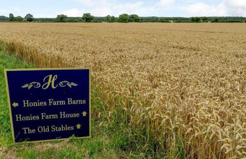 The Cartshed - Foto 8