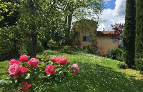 Appartamento con terrazza privata e giardino vicino a Pisa e Firenze - Foto 40