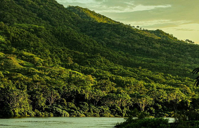 Cabañas Alpinas-El Trapiche-Tarapoto - Foto 6