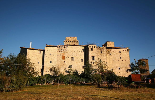 Historic Castle With View - Photo 35