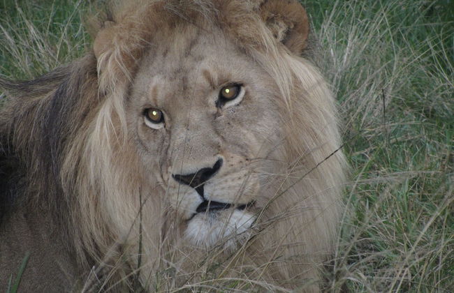 The Carraighs - Foto 31