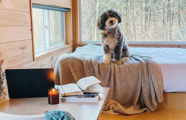 Postcard Cabins Wild Rose, Outdoor Collection by Marriott Bonvoy - Photo 2