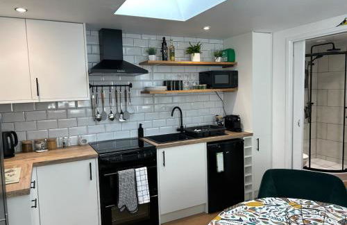 The Banditry, Glastonbury - Photo 13