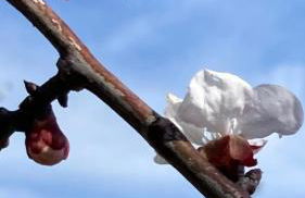 Le Coccole Del Trasimeno - Foto 9